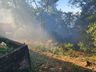 Incêndio no interior de Itapiranga atinge quatro hectares de mata nativa
