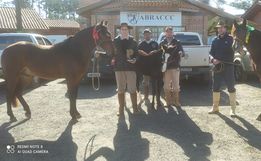 Grupo da região participa da Exposição Nacional do Cavalo Campeiro