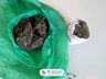 Polícia Militar aperta o cerco ao tráfico de drogas em São Miguel do Oeste