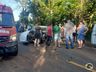 Após ser picado por abelha, motorista perde controle do carro e causa acidente na SC 163