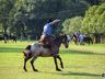1º Torneio de Tiro de Laço de Vaca Mecânica movimenta Semana Farroupilha