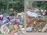 Suspeita é identificada por descarte irregular de lixo na SC-157 em Quilombo