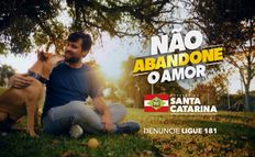 SC lança campanha contra maus-tratos a animais durante o Dezembro Verde