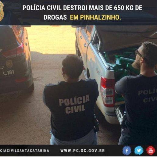 Polícia Civil destrói mais de 650 quilos de maconha em Pinhalzinho