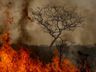 Desastres climáticos aumentaram 250% nos últimos quatro anos no país