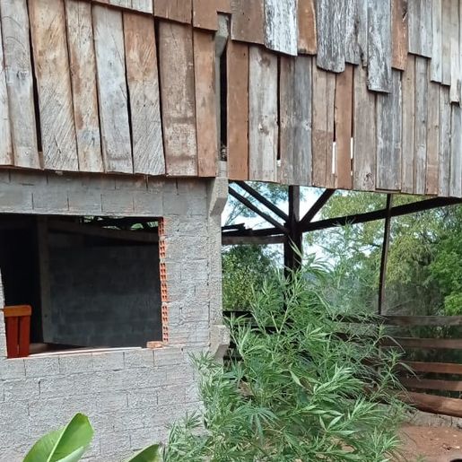 Patrulha Rural localiza plantas de maconha no interior de SJCedro