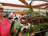 Na capital da fruta, produtores trabalham na sucessão familiar 