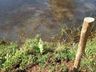 Homem é encontrado morto em açude no interior de Tunápolis