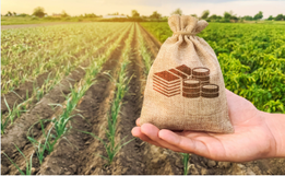Programa Crédito Rural passa a disponibilizar até R$ 280 mil