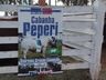 Último dia de Expo Cedro 2023