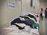 Bazar Solidário segue até domingo no Salão Paroquial, em SMOeste 
