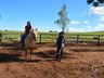 VÍDEO: Relação entre humanos e cavalos traz benefícios para o corpo e mente 