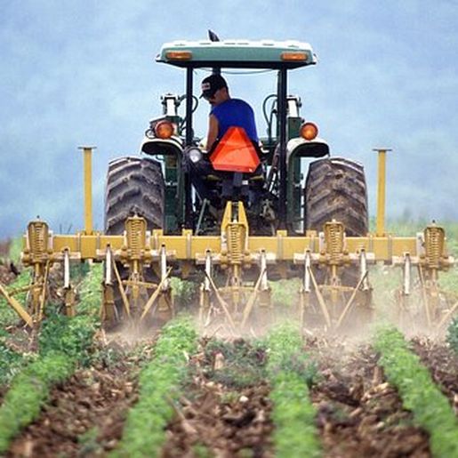 Agricultura altera horário de funcionamento nos dias 23 e 30 deste mês