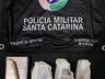 PM apreende drogas e prende jovem em Cunha Porã
