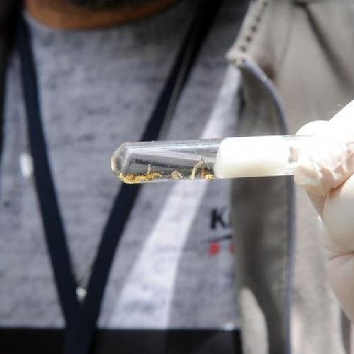 ATENÇÃO: Casos de dengue em São Miguel chegam a 131