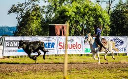 Começa 22º São Miguel Tchê no parque de exposições; fotos