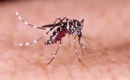 Tunápolis realiza primeiro levantamento do ano sobre situação da dengue