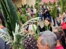 Igreja Matriz São José realiza celebração de Domingo de Ramos 