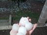 Temporal com chuva de granizo causa estragos na região Extremo-Oeste catarinense