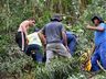 Vídeo: Trabalhador fica ferido ao ser atingido por árvore no interior de Bandeirante