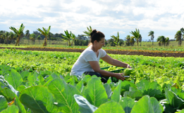 Capacitação voltada para às mulheres do campo terá início em abril