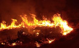 Incêndio atinge área de sete mil metros quadrados