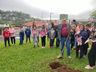 Igreja Católica desenvolve campanha para plantio de árvores