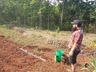 Zootecnista inicia projeto de agroflorestal em Itapiranga 