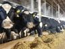 Cidasc atinge 65% das metas do ano em ações para o Extremo Oeste