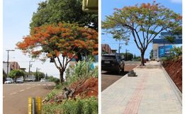 Projeto Avançar Cidades tem continuidade em São José do Cedro