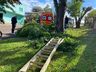 Idoso fica gravemente ferido ao cair de árvore em São Miguel do Oeste