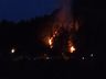 Incêndio atinge área de reflorestamento