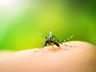 São Miguel tem 54 casos  de dengue confirmados