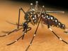 Gerência Regional da Saúde promove ações para eliminar criadouros do Aedes Aegypti