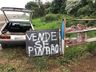 Polícia Ambiental apreende mais de 60 kg de pinhão