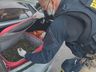 Casal de SC é preso com mil tartarugas escondidas no porta-malas de carro