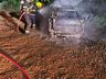 Carro bate em árvore e pega fogo em São José do Cedro
