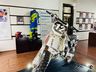Exposição homenageia ex-piloto de Motocross de Itapiranga
