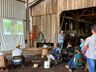 Epagri realiza Dia de Campo para apresentação da cultura de inverno