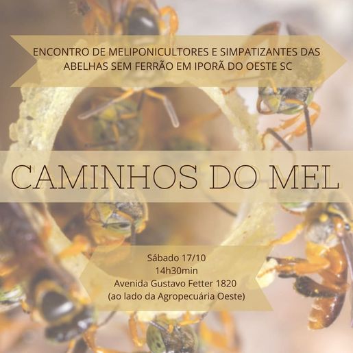 Iniciativa popular pretende incentivar criação de abelhas sem ferrão em espaços de Iporã do Oeste