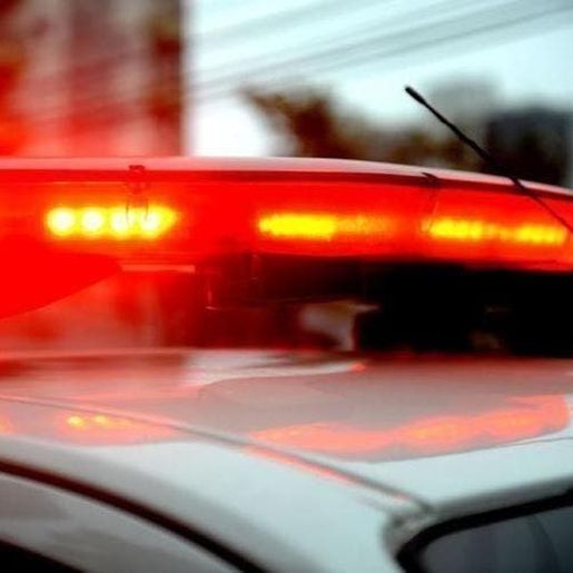 Homem é morto pelo vizinho após briga por causa de cachorros em SC