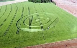 Santa Catarina já registrou ao menos 10 agroglifos nos últimos anos