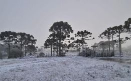SC tem 3 dias seguidos de neve pela 1ª vez em duas décadas