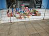 Grupo Amigos da Ferrugem realiza entrega de alimentos arrecadados em evento