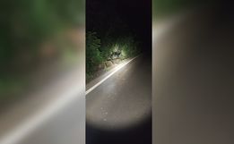 Colisão entre carros é registrada na SC-492 em SMOeste