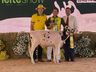 3º dia do Itaipu Rural Show tem como destaque Feira Ranqueada de Animais