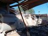 Incêndio em aviário mobiliza Bombeiros em São Bernardino