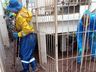 Voluntários retornam do Rio Grande do Sul após auxilio 