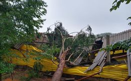 Vento e chuva provocam destelhamento de casas em Palma Sola