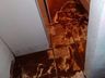 Casal com seis filhos precisa de ajuda após enxurrada invadir sua casa